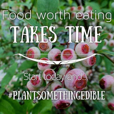Food worth eating takes time #PlantSomethingEdible