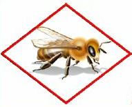 Bee Hazard Icon