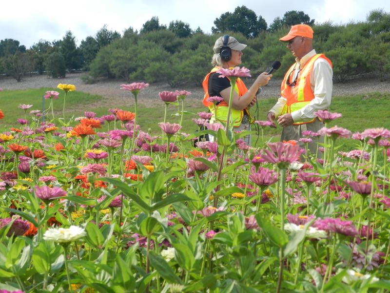 Interviewing Don Lee