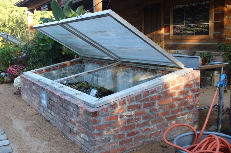 Enjoying Fall Vegetables