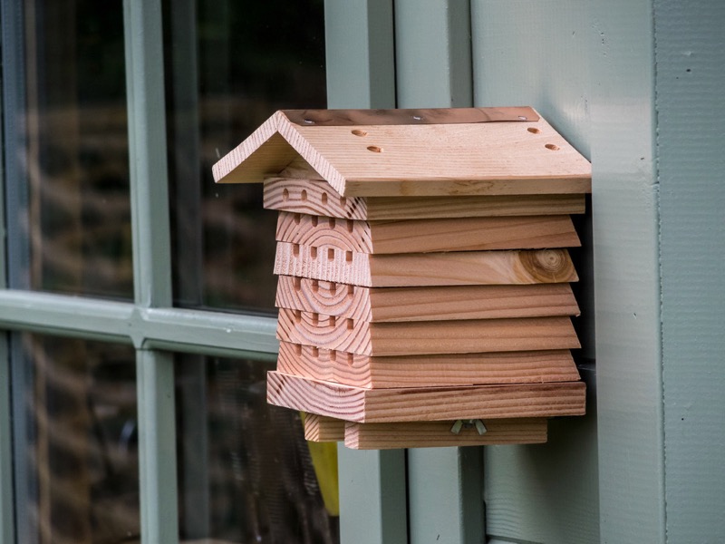 Native Bee Box