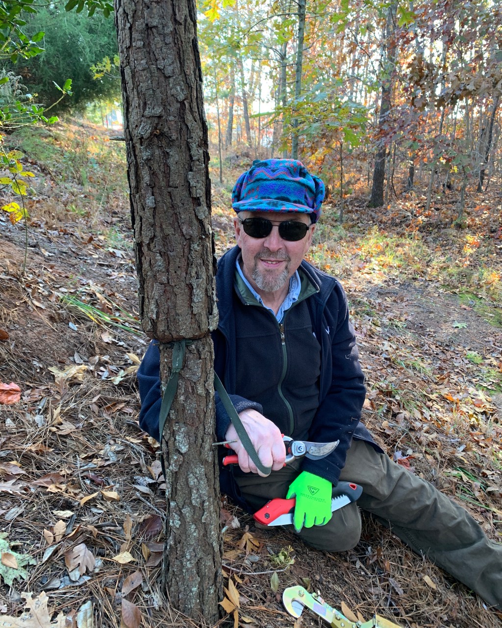 Finally, planting trees